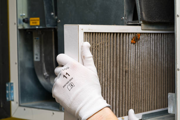 Best Affordable Duct Cleaning Services  in Frankston, TX