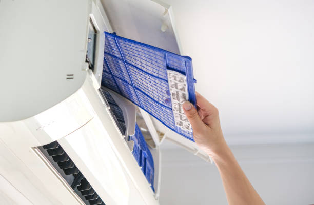 Best Affordable Duct Cleaning Services  in Frankston, TX