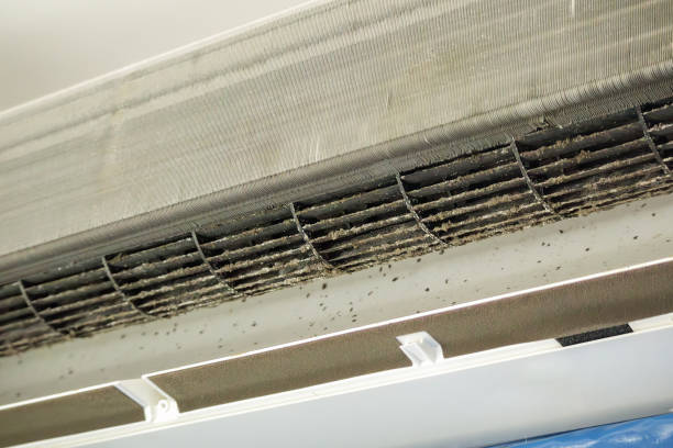 Best Dryer Vent Cleaning Services  in Frankston, TX