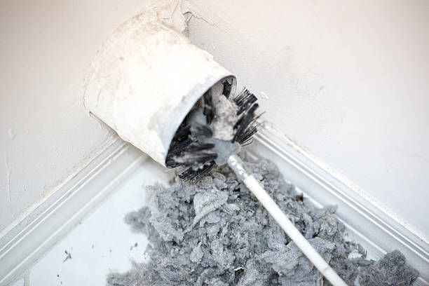 Best HVAC Air Duct Cleaning  in Frankston, TX